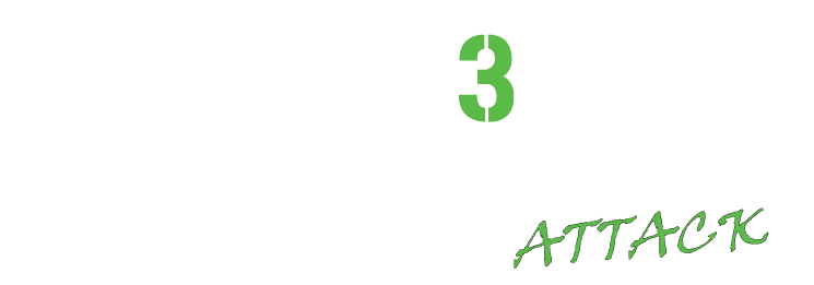 Shift Sector Airstrip Attack (SS3)